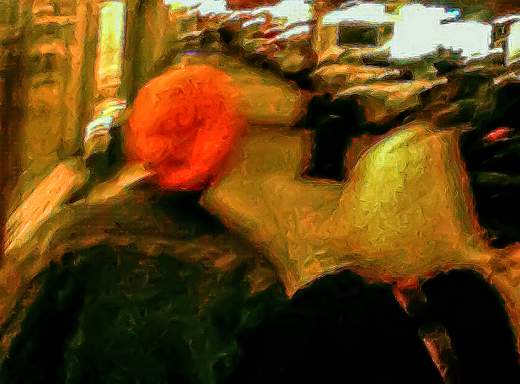 toy camera