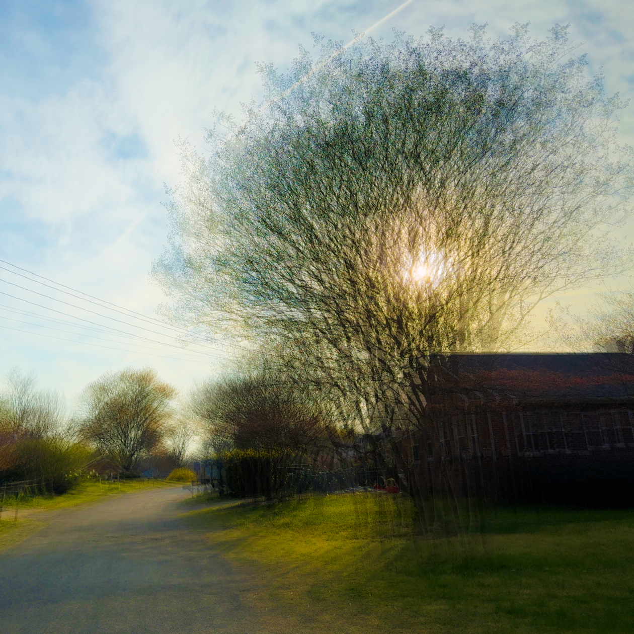 this vernal spring